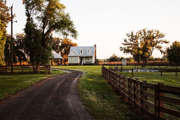 Satilla Retreat 4 bedroom Harbor View House & 1 bedroom Salty Marsh Suite 