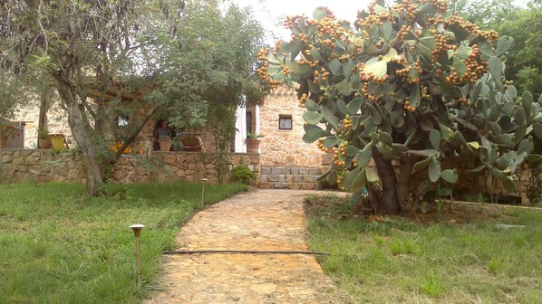 Property grounds