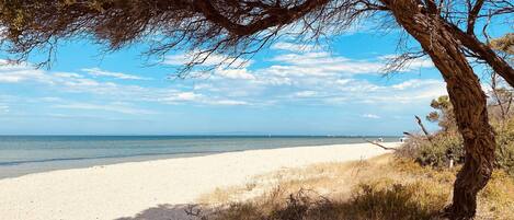 The beach across the road from the property