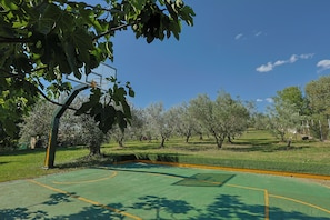 Sport court