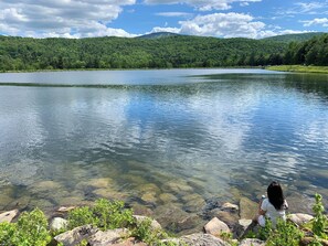 It's so fun to walk around the pond and find your spot to hang out at.