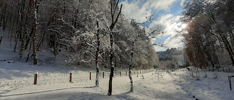 Snow and ski sports
