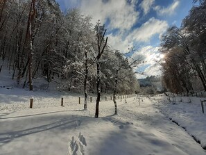 Skidåkning och snöaktiviteter