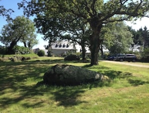 Property grounds