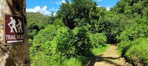 Follow the signs to the Trail Head and your private natural pool 