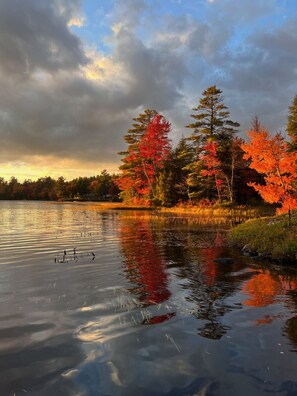 Fall view in the cove