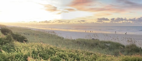 Strand