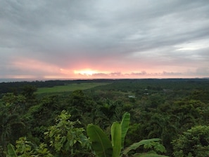 Terrain de l’hébergement 