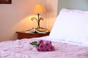 The 1st bedroom with the Queen size  bed.