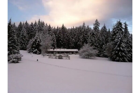 More Photos available on Air B&B... 