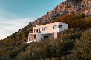 Sunset photo of villa and olive fields.