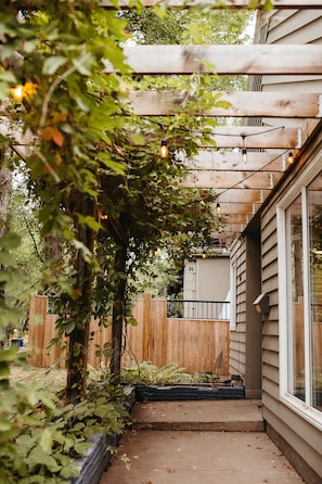Beautiful foliage and outdoor lighting.