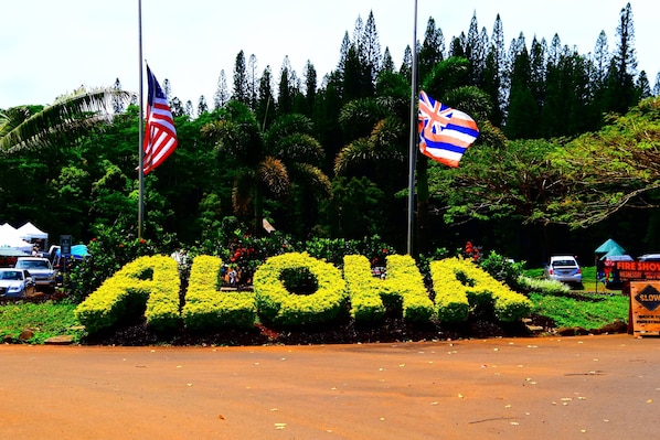 Welcome to Kauai the Garden Island!