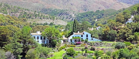 Sout face of the estate, terraced gardens and lawn 