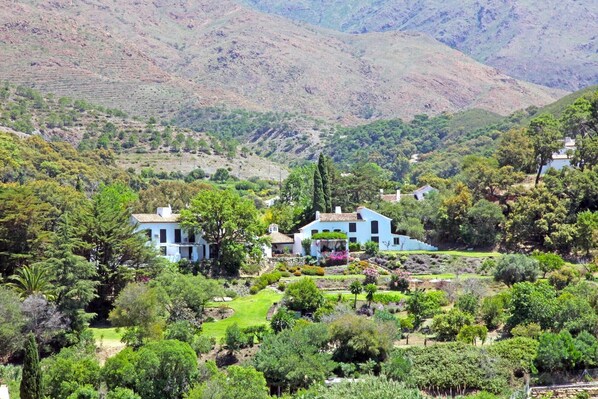 Sout face of the estate, terraced gardens and lawn 