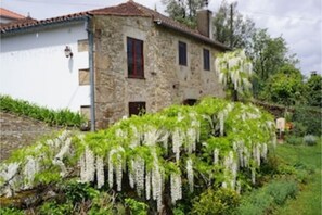Yavanna Main Garden