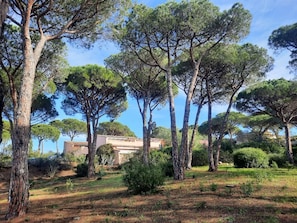 Résidence des patios de Gigaro dans la pinède.