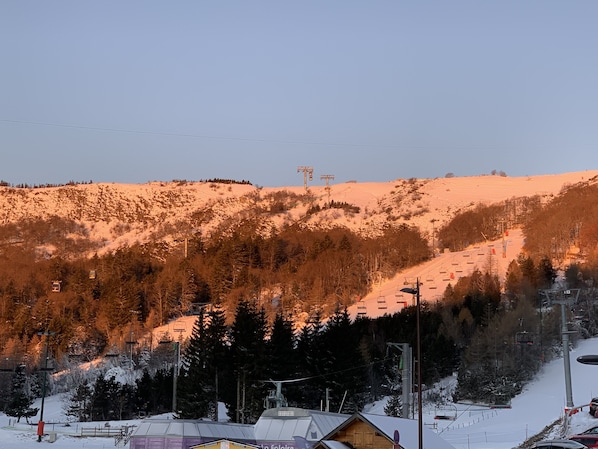 Sneeuw- en skisporten