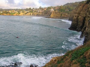 La Jolla COVE surf