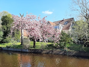 Boendeområde