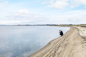 Vue sur l'eau