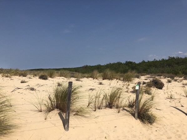 Terrain de l’hébergement 