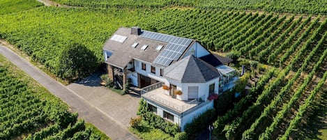 Unser Weingut mit der Ferienwohnung im rechten Bereich.