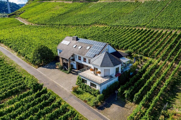 Unser Weingut mit der Ferienwohnung im rechten Bereich.