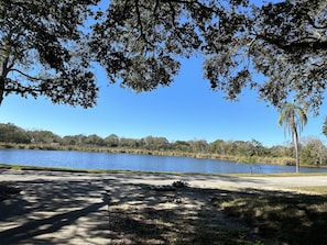 The lake in front of the main house (you are welcome to sit on our front porch)