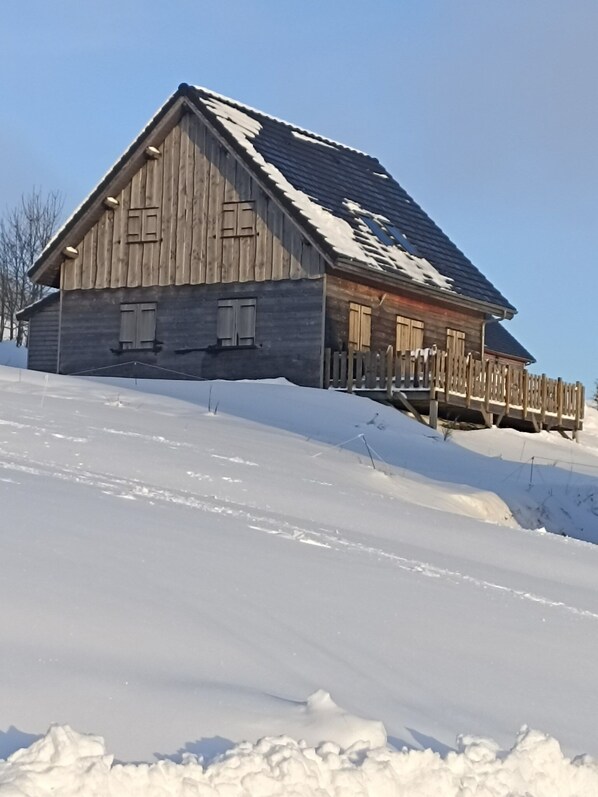 Exteriör