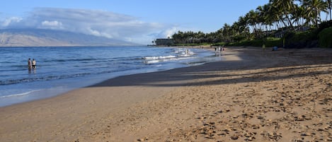 Keawakapu Beach is one of the finest beaches in the world!