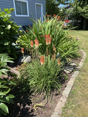 Jardines del alojamiento