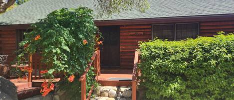 Front of Cabin with deck across the entirety and down one side to the back yard.