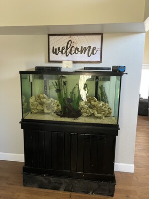 Large fish tank at entrance
