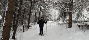 Wintersport/Ski