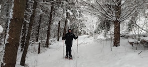 Wintersport/Ski