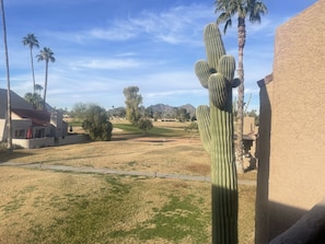 View from private balcony