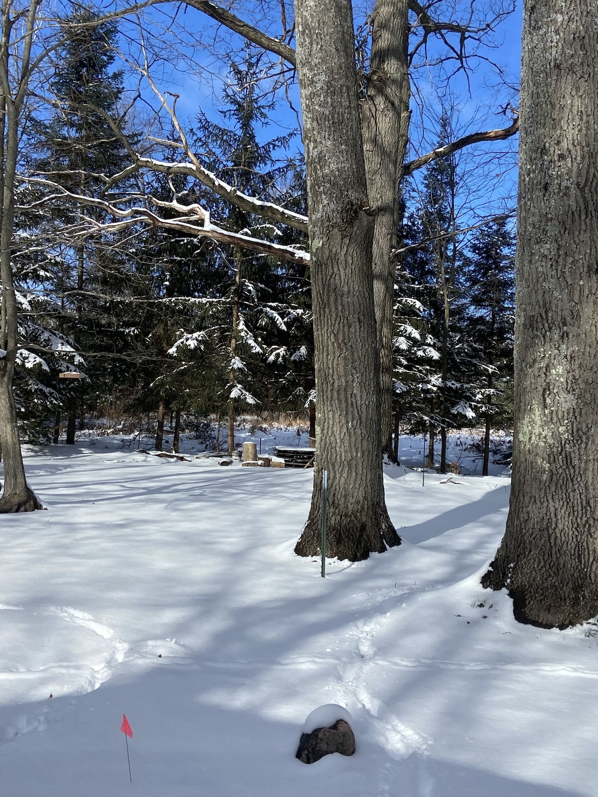 Chalet, centrally located near Higgins and Houghton Lake