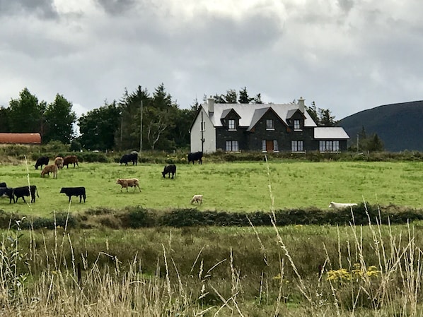 View of house. 
