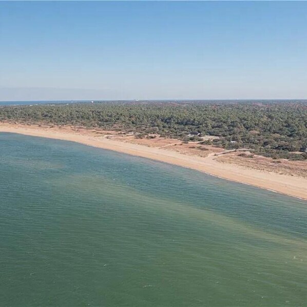 Cozy private home nested in the trees – walk to beach, state park, + restaurants