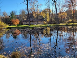 Backyard pond in the fall. That white door pictured enters into the kitchen.