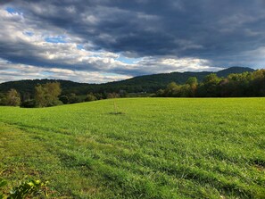 Come here to relax and enjoy the view from the backyard. 