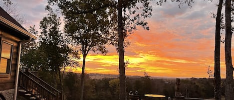 View from Patio