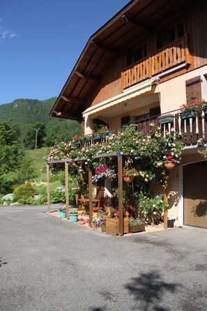 The terrace area in all its glory in June.