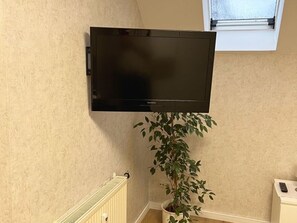 TV schwenkbar