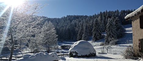 Enceinte de l’hébergement