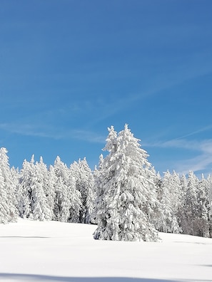 Snow and ski sports