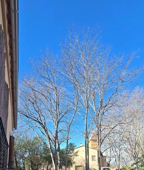 Vista del balcón