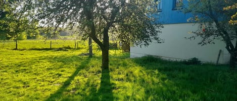 Boendeområde