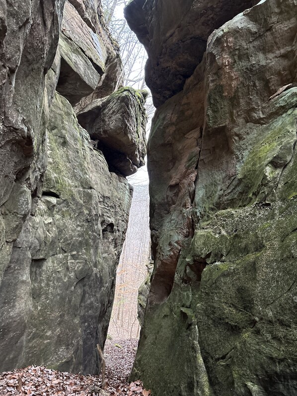 Terrain de l’hébergement 